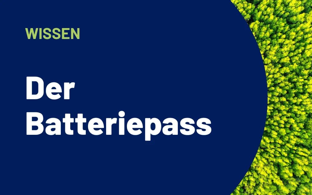Stimmungsbild eines Waldes mit vorgelagertem Text