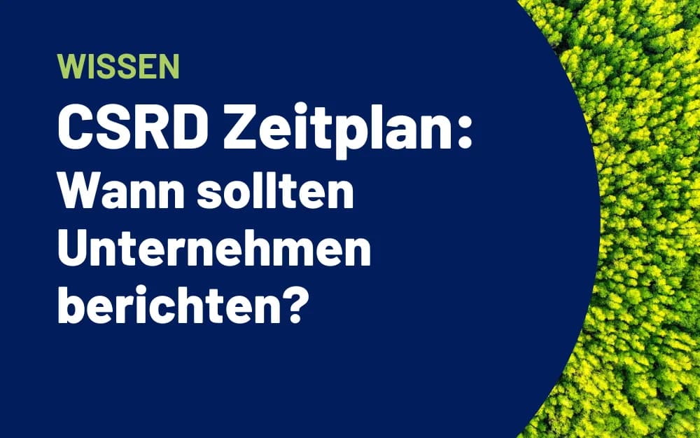 Stimmungsbild eines Waldes mit vorgelagertem Text