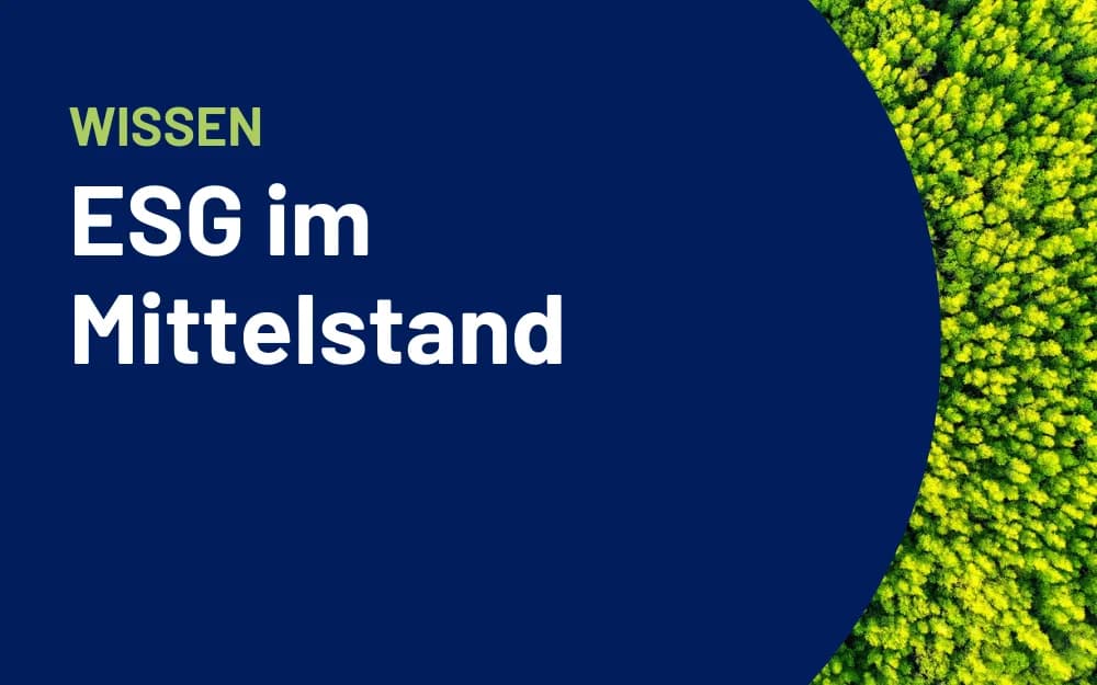 Stimmungsbild eines Waldes mit vorgelagertem Text