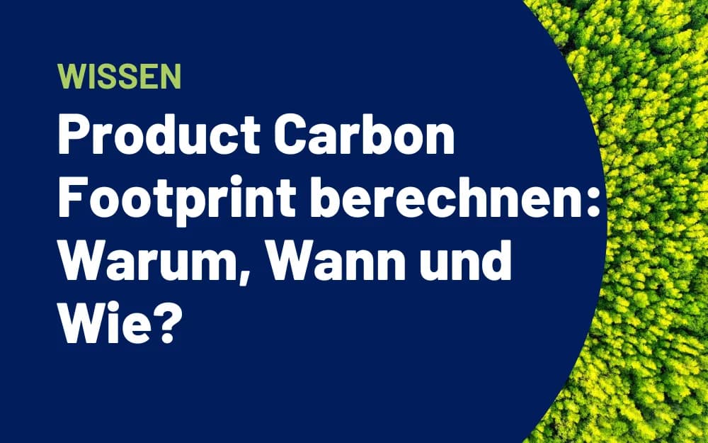 Stimmungsbild eines Waldes mit vorgelagertem Text