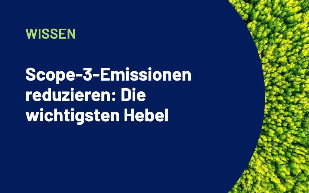 Scope-3-Emissionen reduzieren: Die wichtigsten Hebel