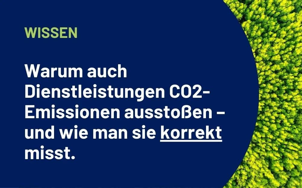 Stimmungsbild eines Waldes mit vorgelagertem Text