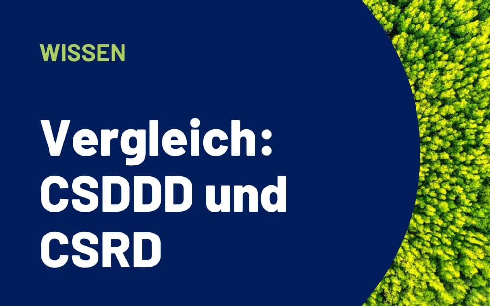 Stimmungsbild eines Waldes mit vorgelagertem Text