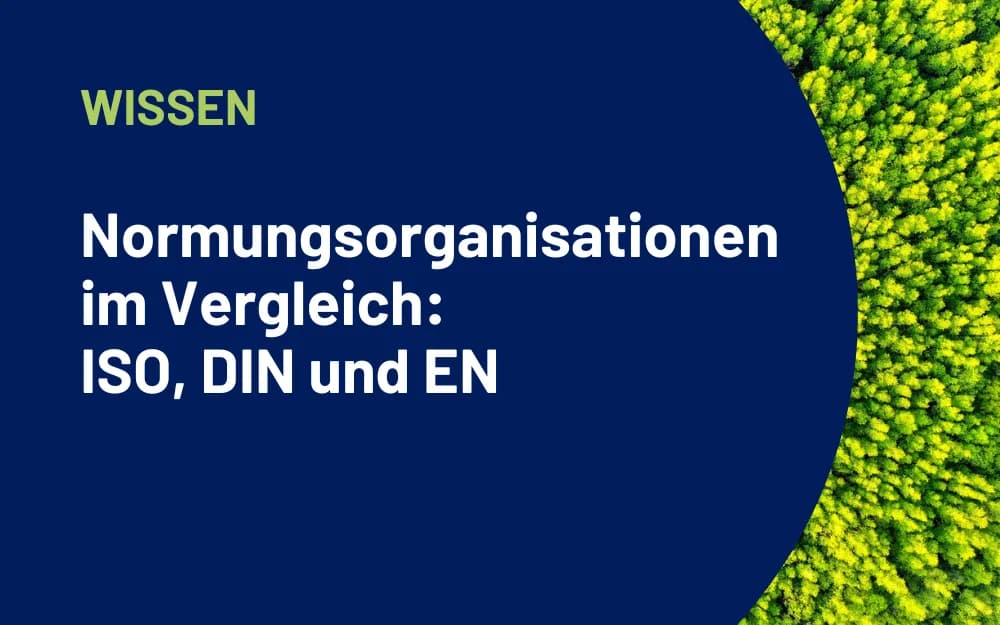 Stimmungsbild eines Waldes mit vorgelagertem Text