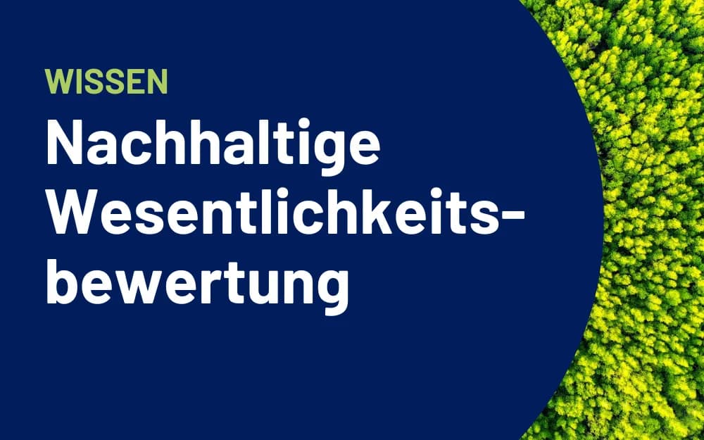 Stimmungsbild eines Waldes mit vorgelagertem Text