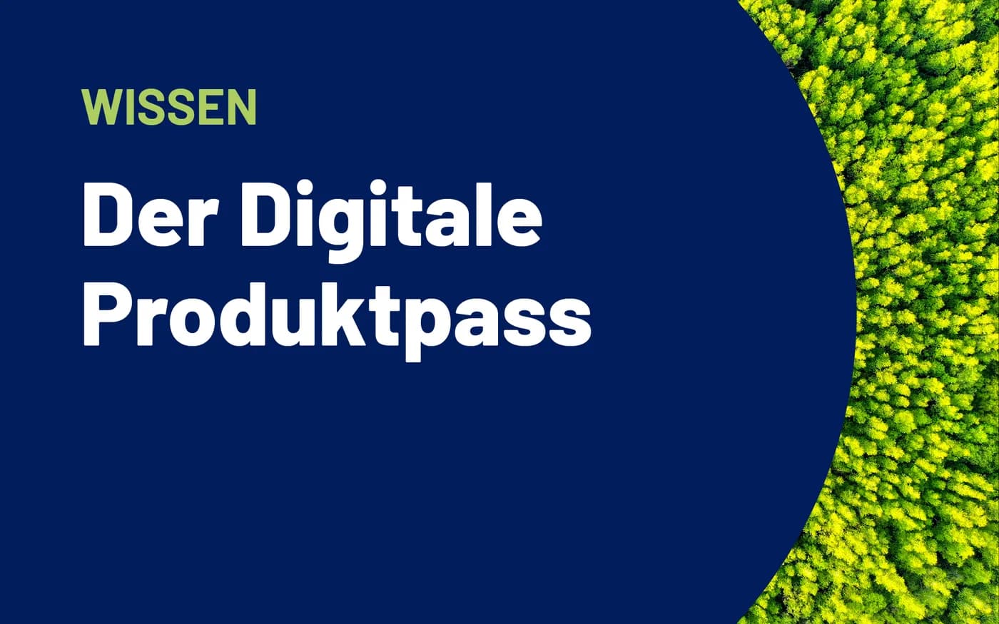 Stimmungsbild eines Waldes mit vorgelagertem Text