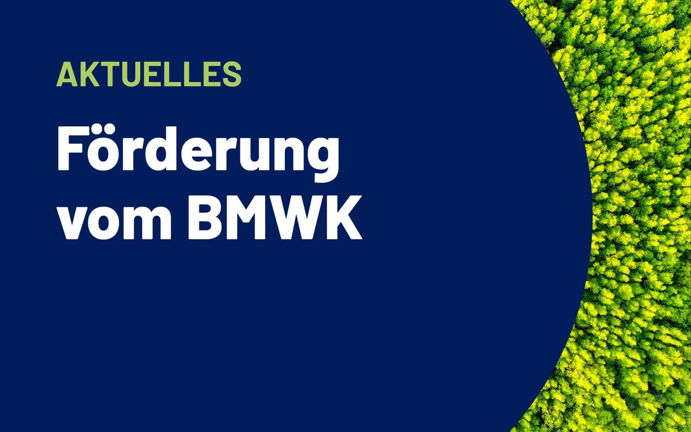 Stimmungsbild eines Waldes mit vorgelagertem Text