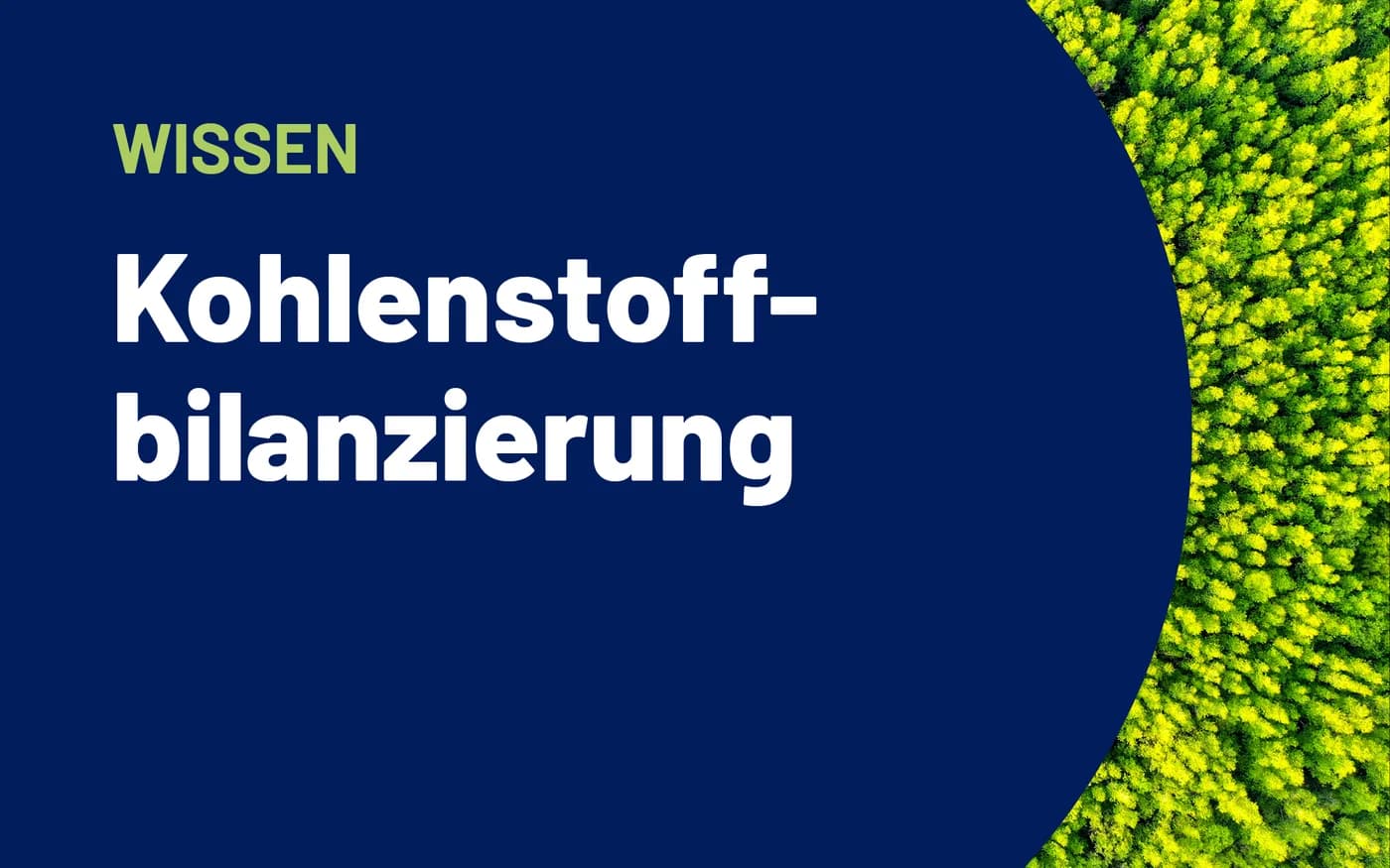 Stimmungsbild eines Waldes mit vorgelagertem Text