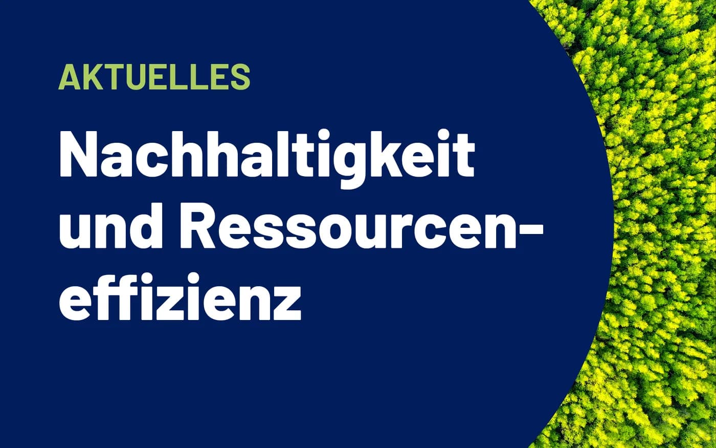 Stimmungsbild eines Waldes mit vorgelagertem Text