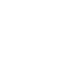 Zwilling