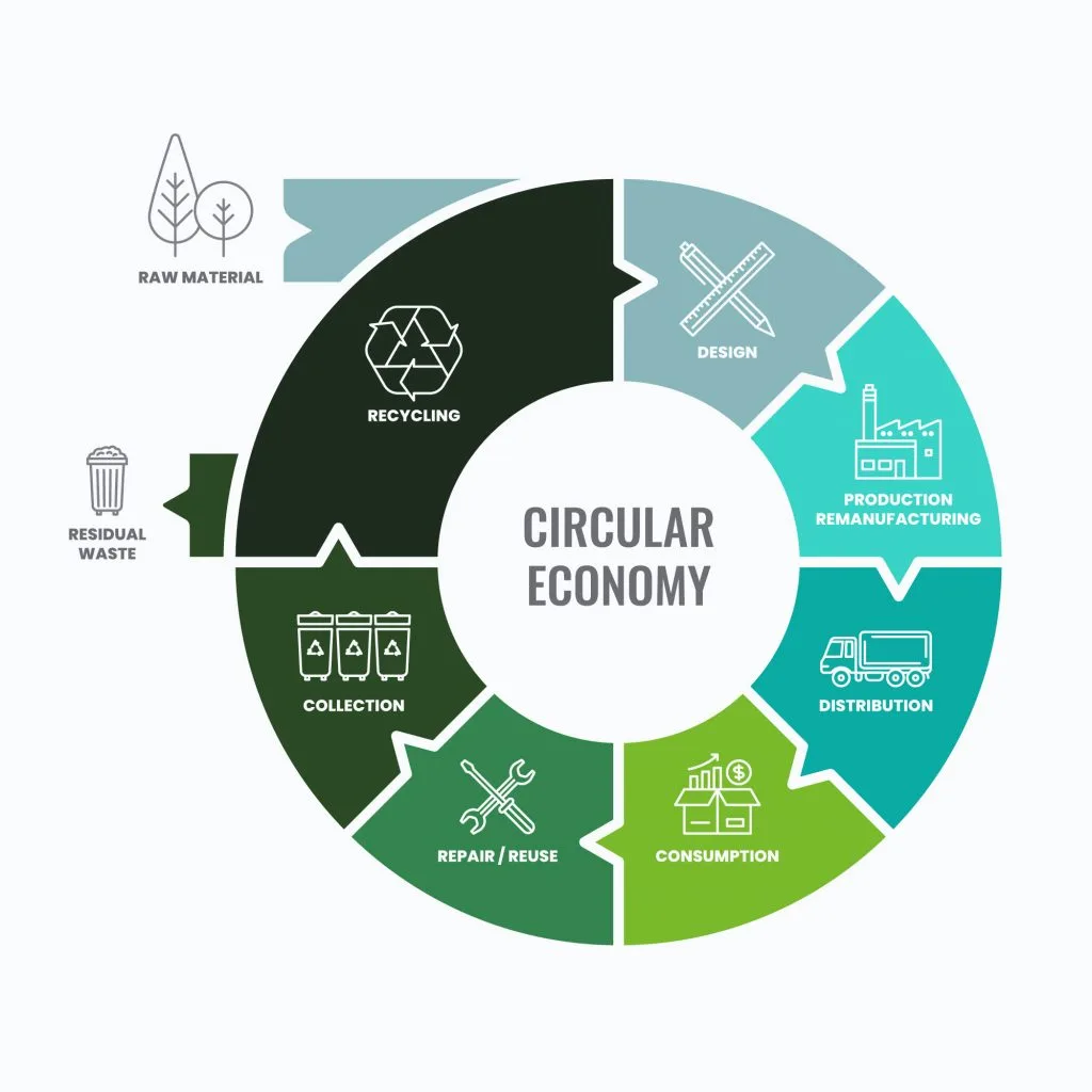 Circular economy and sustainable processes