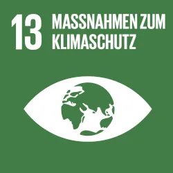 Logo des SDGs "Maßnahmen zum Klimaschutz"