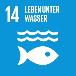 Logo des SDGs "Leben unter Wasser"