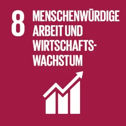 Logo des SDGs "Menschenwürdige Arbeit und Wirtschaftswachstum"