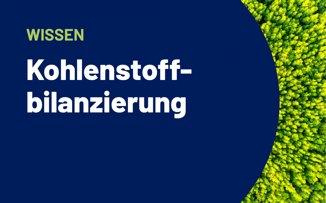 Kohlenstoff­bilanzierung