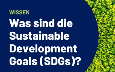 Was sind die Sustainable Development Goals (SDGs)?