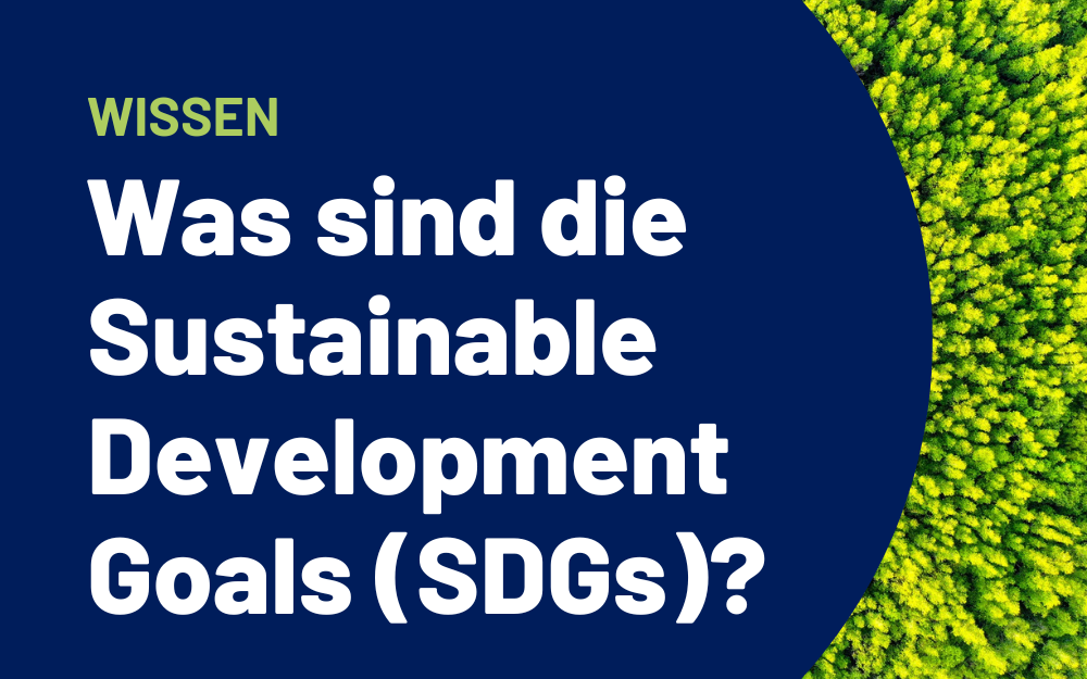 Was sind die Sustainable Development Goals (SDGs)?