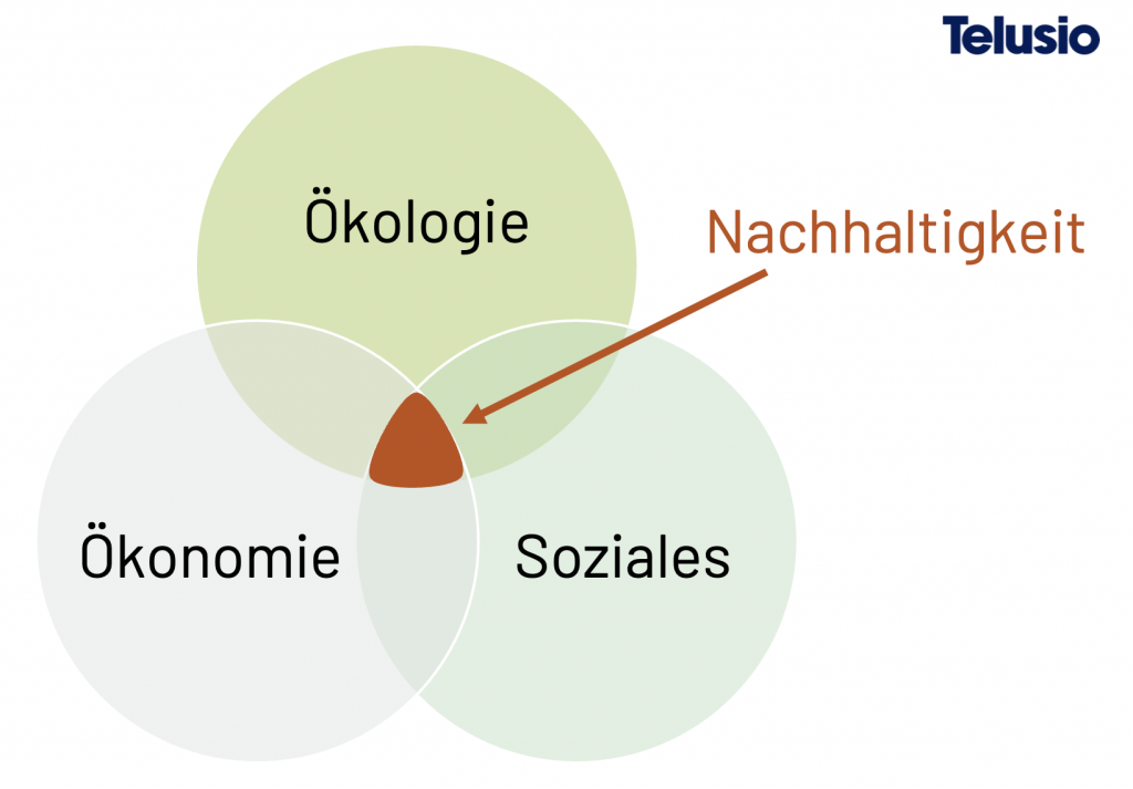Die drei Säulen der Nachhaltigkeit: Ökologie, Ökonomie und Soziales.